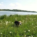 Casa vacanze Ferienhaeuser Pannier I Und Oder Ii