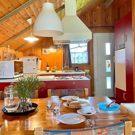 Pannier I Und Oder Ii *