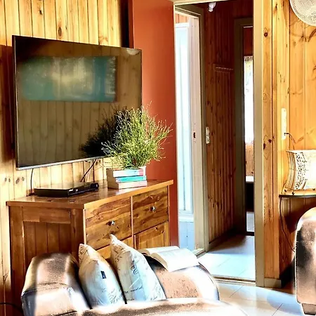 Pannier I Und Oder Ii