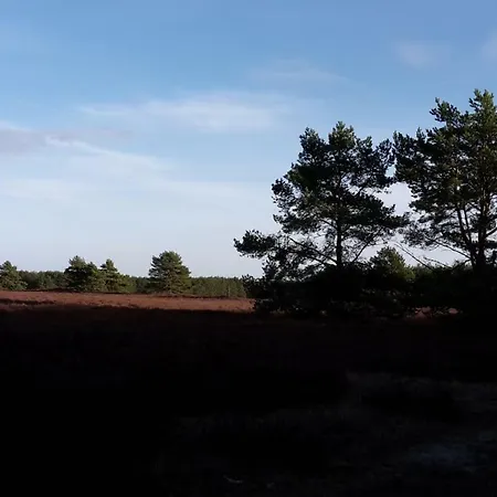 Ferienhaeuser Pannier I Und Oder Ii * Gartow