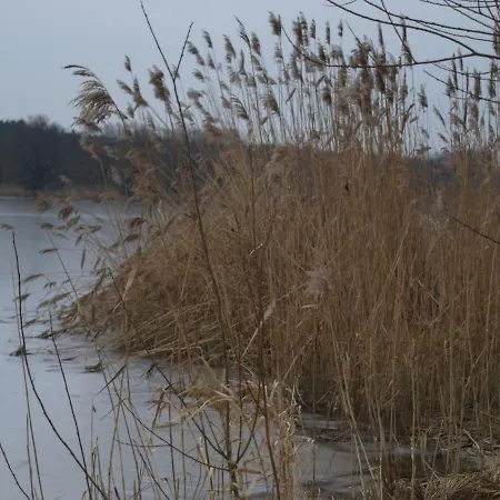 Ferienhaeuser Pannier I Und Oder Ii