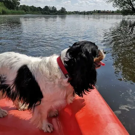 Feriehus Ferienhaeuser Pannier I Und Oder Ii Gartow