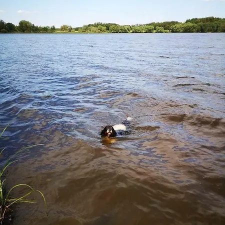 Pannier I Und Oder Ii Ferienhaus Gartow