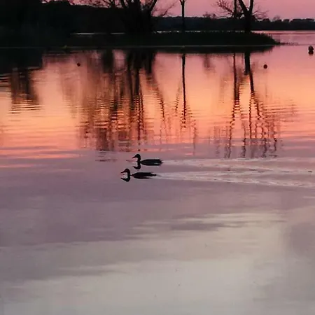 Pannier I Und Oder Ii * Gartow