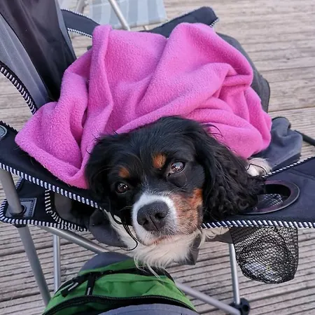 Pannier I Und Oder Ii Ferienhaus *