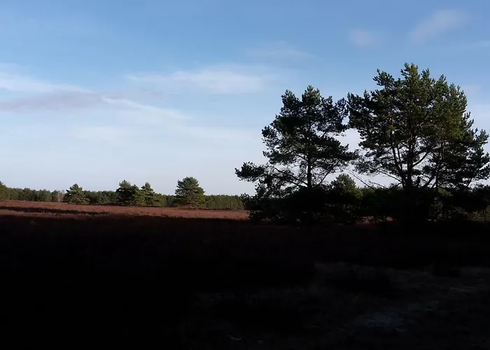 Ferienhaeuser Pannier I Und Oder Ii * Gartow