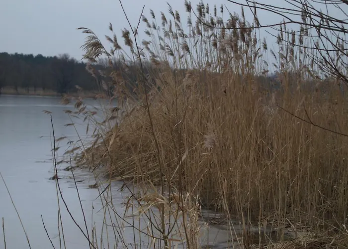 Ferienhaeuser Pannier I Und Oder Ii