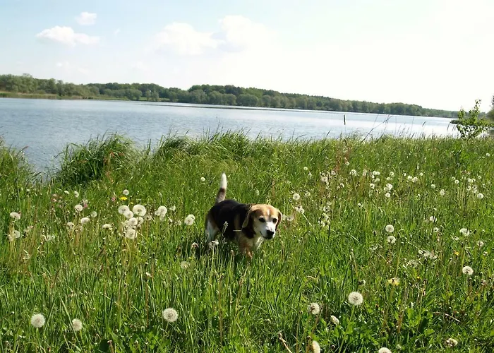 בית נופש Ferienhaeuser Pannier I Und Oder Ii