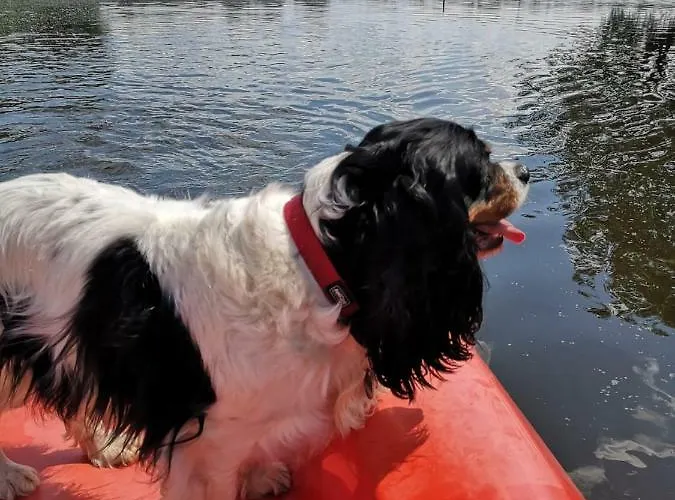 בית נופש Ferienhaeuser Pannier I Und Oder Ii Gartow