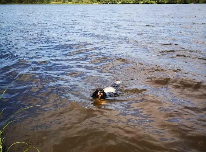 Ferienhaeuser Pannier I Und Oder Ii בית נופש Gartow