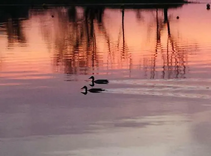 Ferienhaeuser Pannier I Und Oder Ii * Gartow